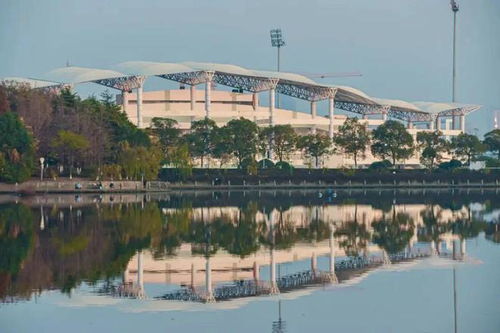 南昌大學(xué)食品學(xué)院2024年博士后招聘公告