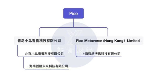 字節(jié)跳動(dòng)亮出“元宇宙”旗幟，國內(nèi)互聯(lián)網(wǎng)巨頭首度以Metaverse命名